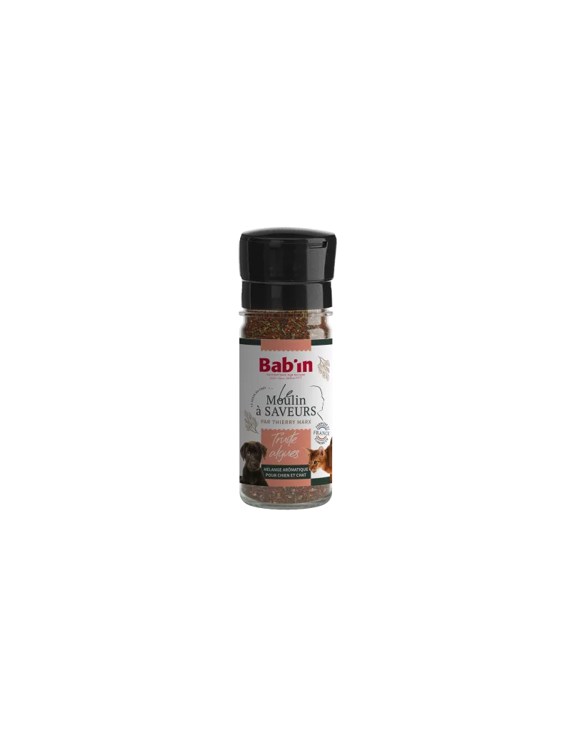  Bab'in - LE MOULIN A SAVEURS TRUITE ALGUE 45g