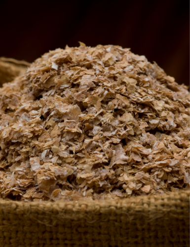 gros son de blé 10kg