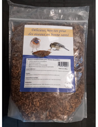 Insectes 500g