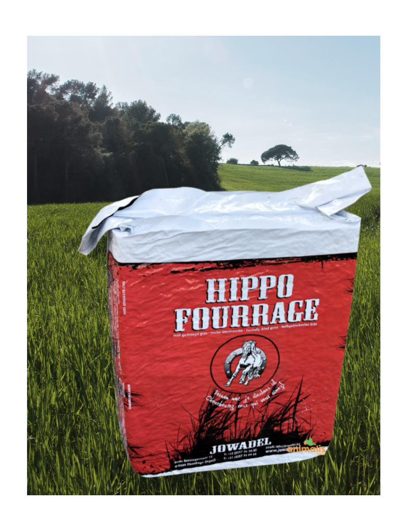  Hippo fourrage