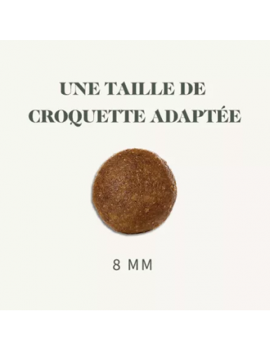  BAB'IN LAB CHAT ADULTE CONTRÔLE DES BOULES DE POIL 1.5 KG