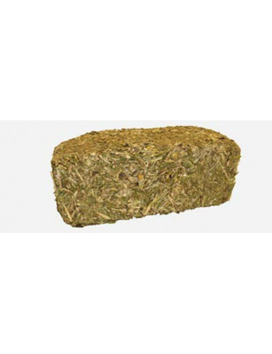  Brick