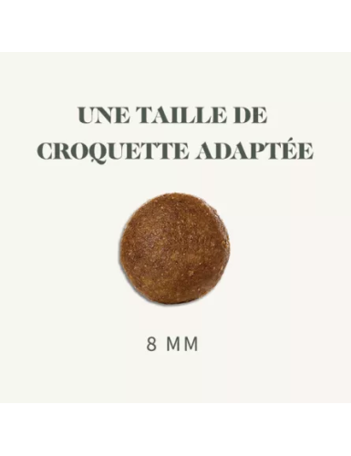  BAB'IN LAB CHAT ADULTE DIGESTION 3 KG