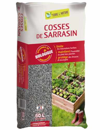 Cosse de sarrasin