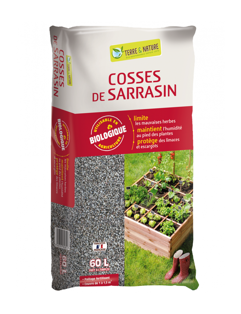 Cosse de sarrasin
