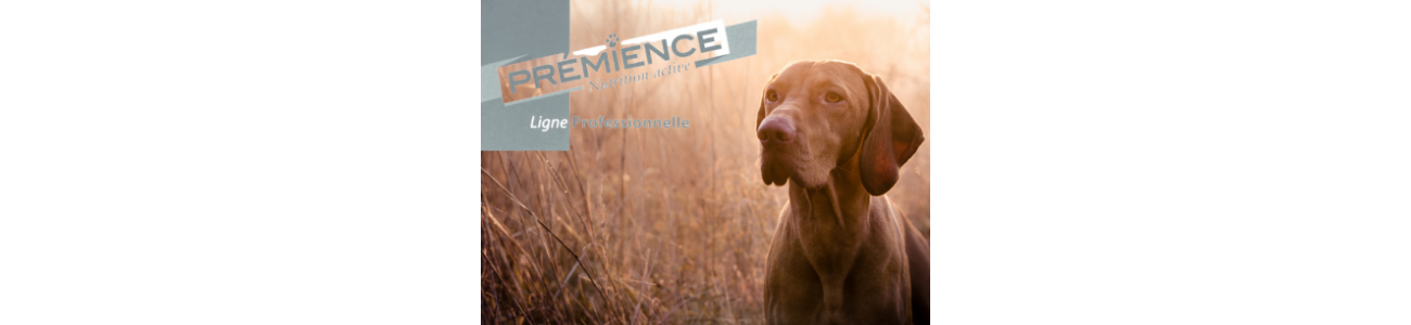 Prémience - Ligne Professionnel - Alimentation Chien - Sarl Michel Riaud
