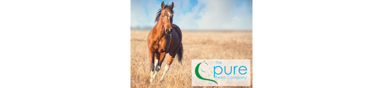Pure Feed - Alimentation cheval Pauvre en amidon - Sarl Michel Riaud