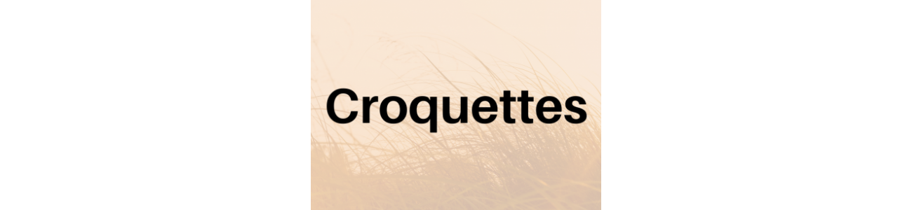 Croquettes - Prémience - Ligne Professionnel - Sarl Michel Riaud