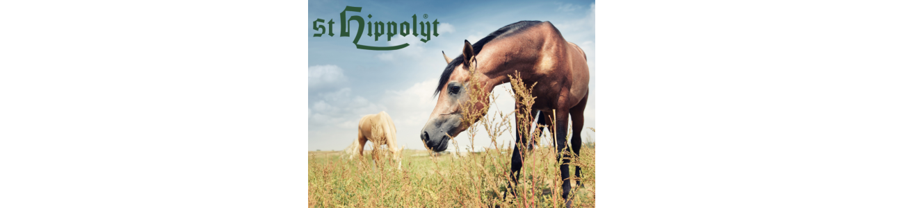 Saint Hippolyt