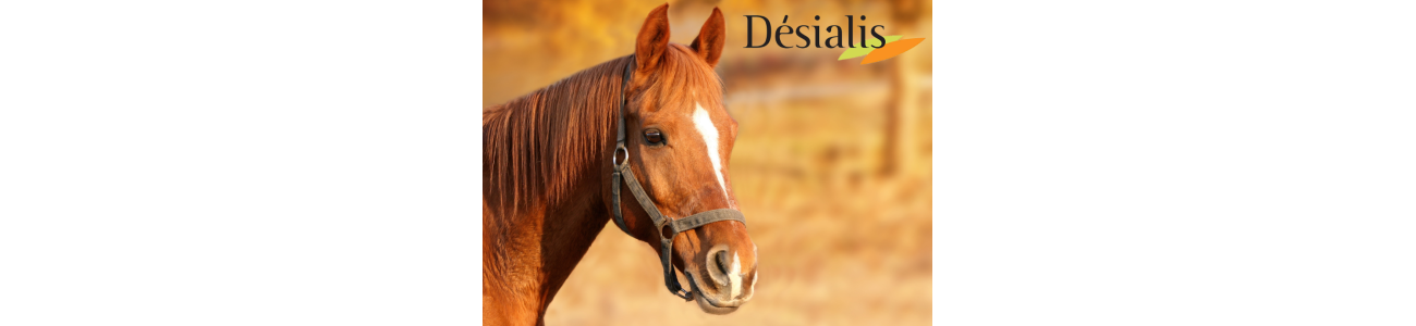 Desialis