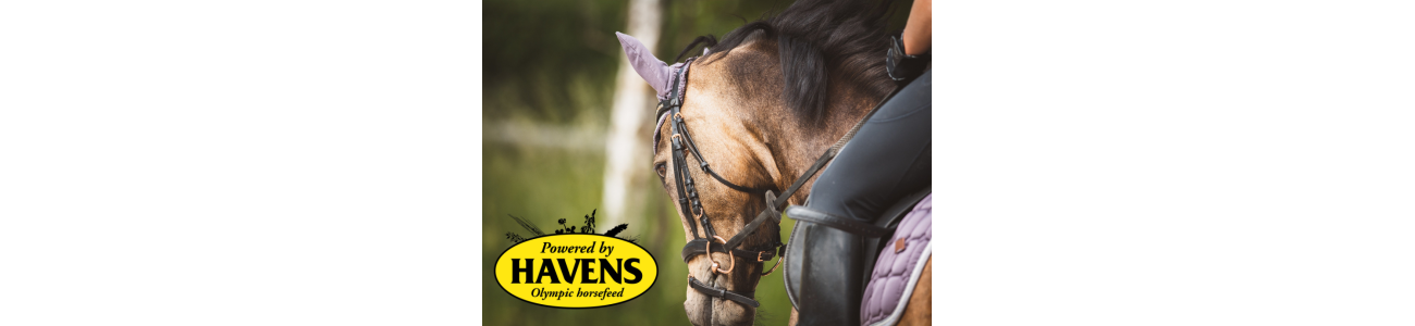 Havens