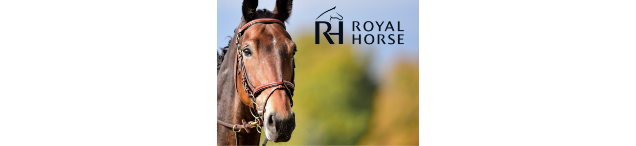 Royal Horse