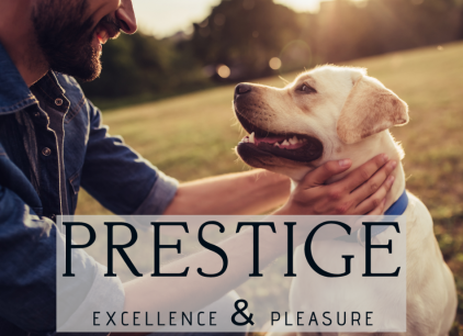 Prestige - Fabriqué en France