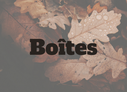 Boites