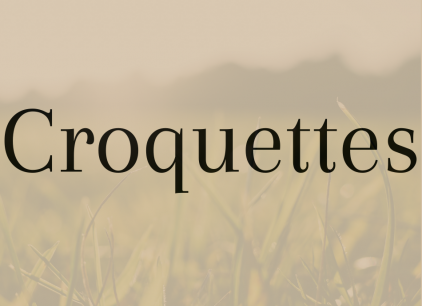 Croquettes