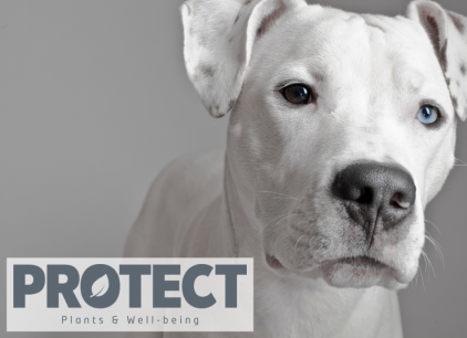 Protect - Médicalisés