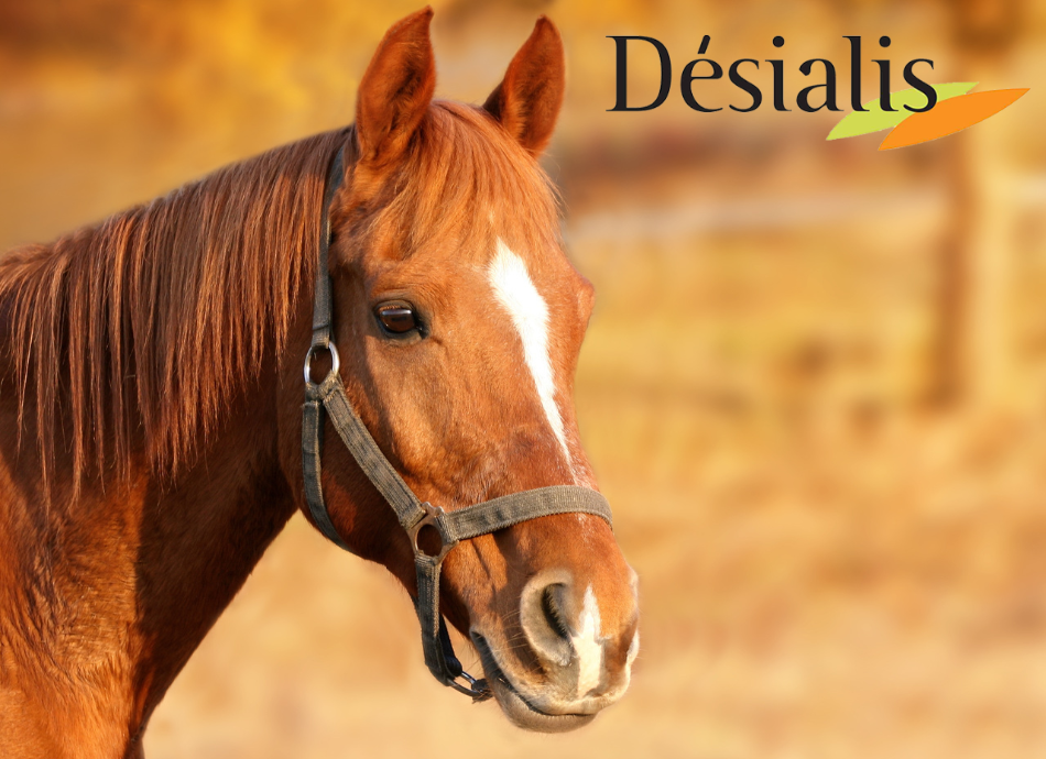 Desialis