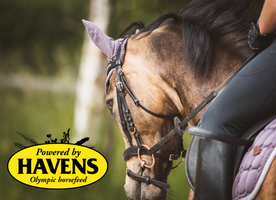Havens