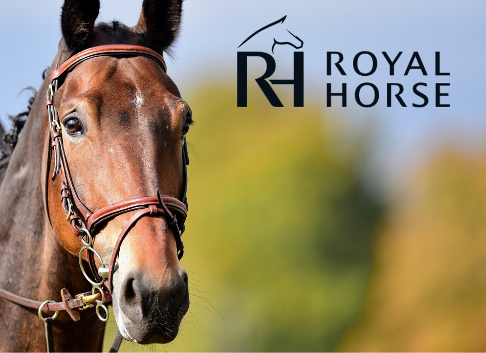 Royal Horse